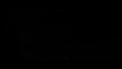 download video