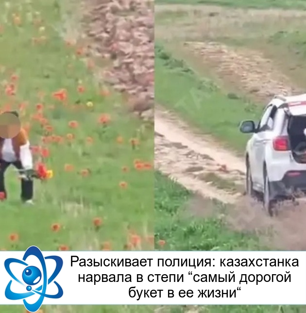 Разыскивает полиция: казахстанка нарвала в степи “самый дорогой букет в ее жизни“